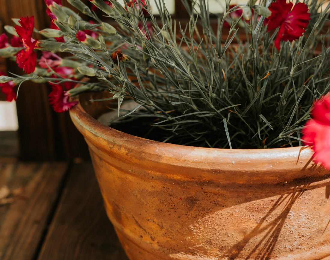 clay and terracotta